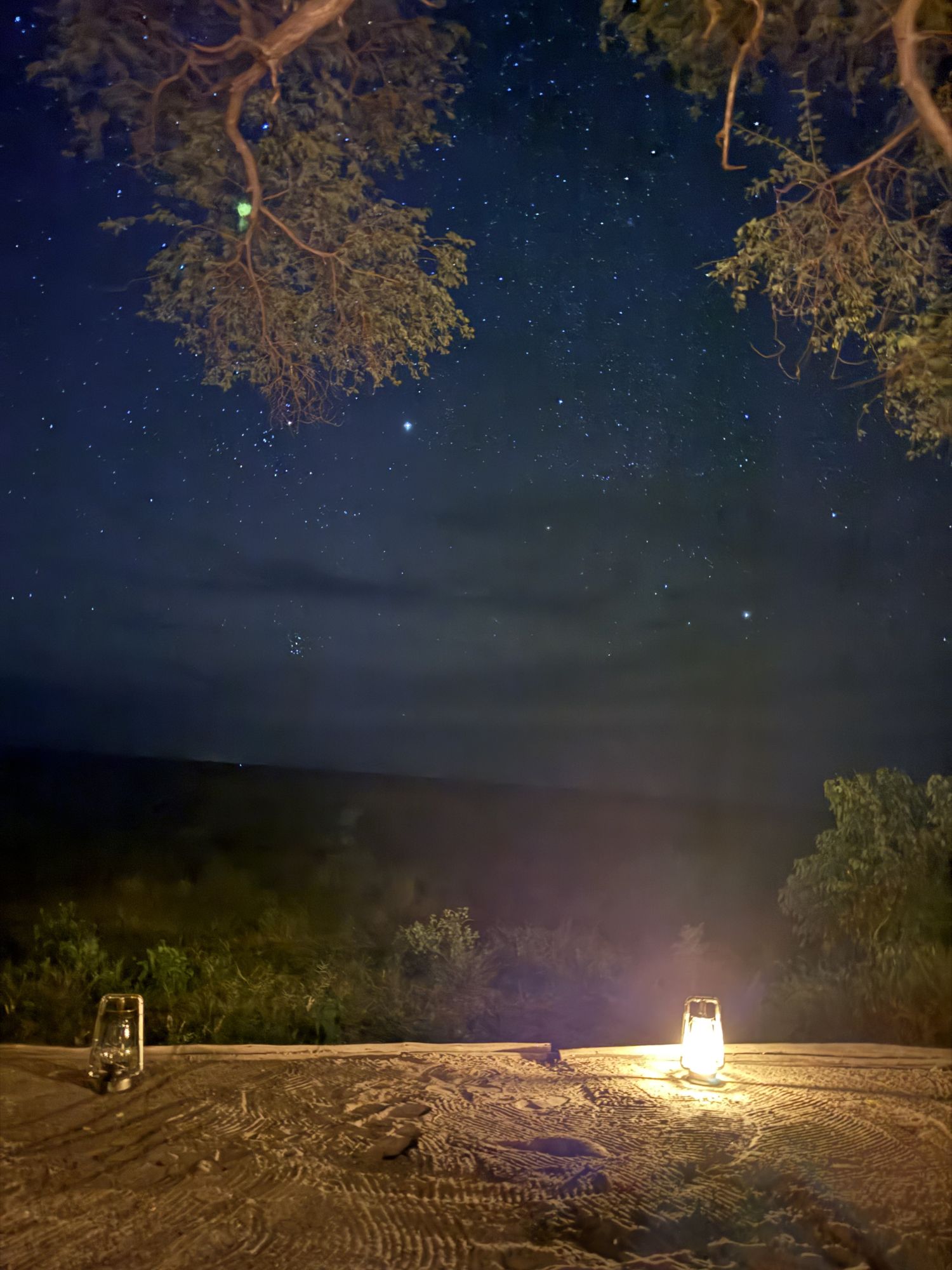 Lanterns burning under a starlit sky